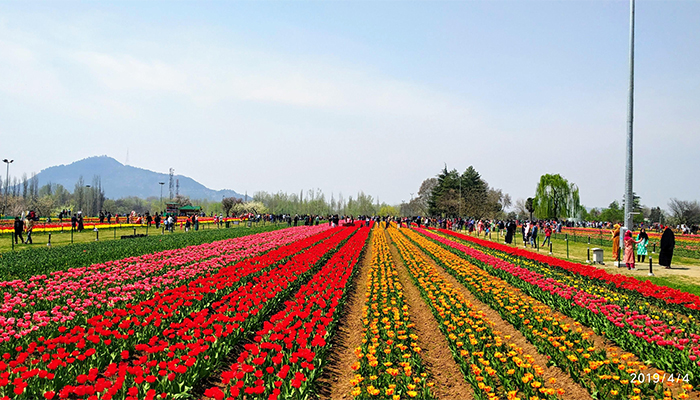 Hk Travelstravels, kashmir tours travels, ladakh tours travels, jammu tours travels, kashmir trip, vaisnodevi tour packages, kashmir trip plan, kashmir tour packages, jammu tour packages, ladakh tour packages